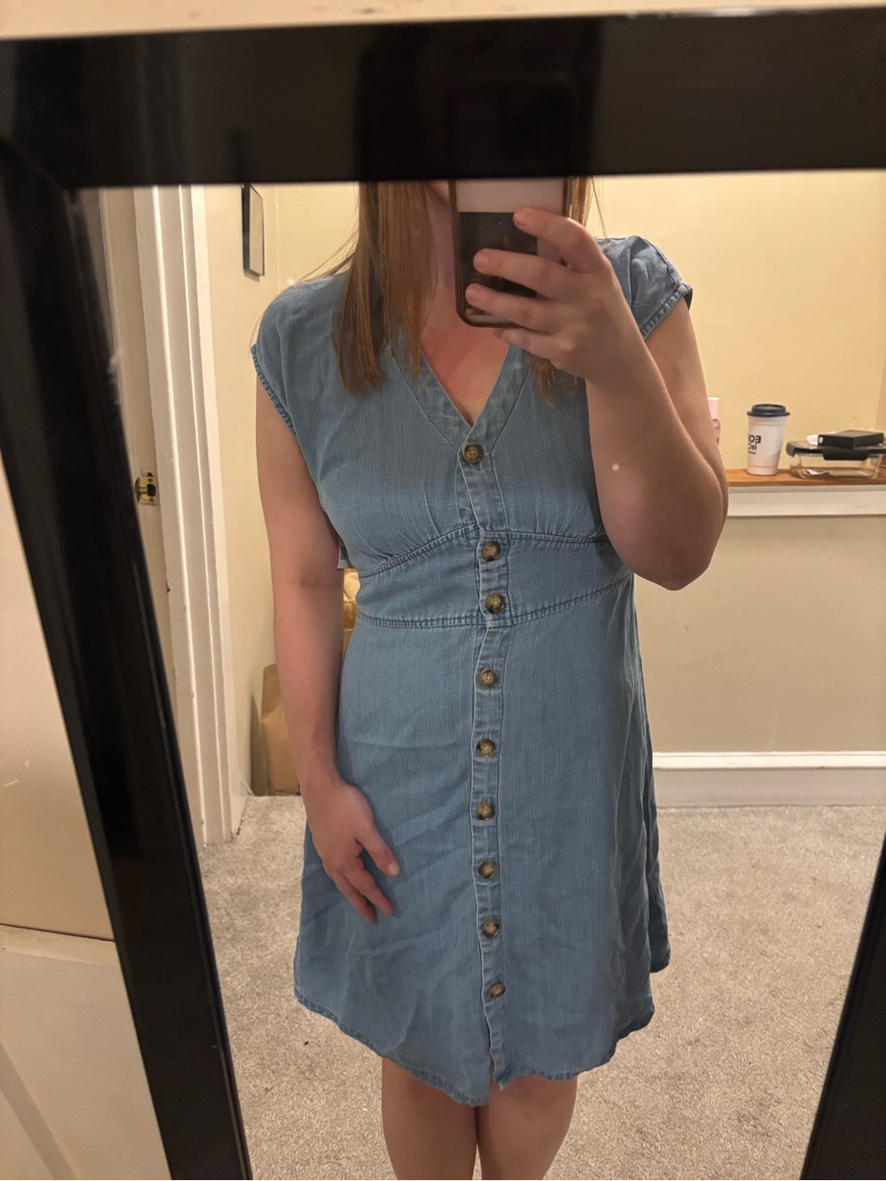 LOFT Chambray Button-Front Mini Dress